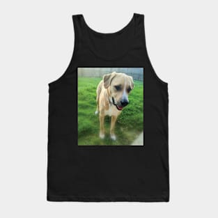 Handsome Anatolian Shepard pup Tank Top